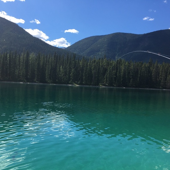 Meet your Posher, Payton - Picture 1 of 1